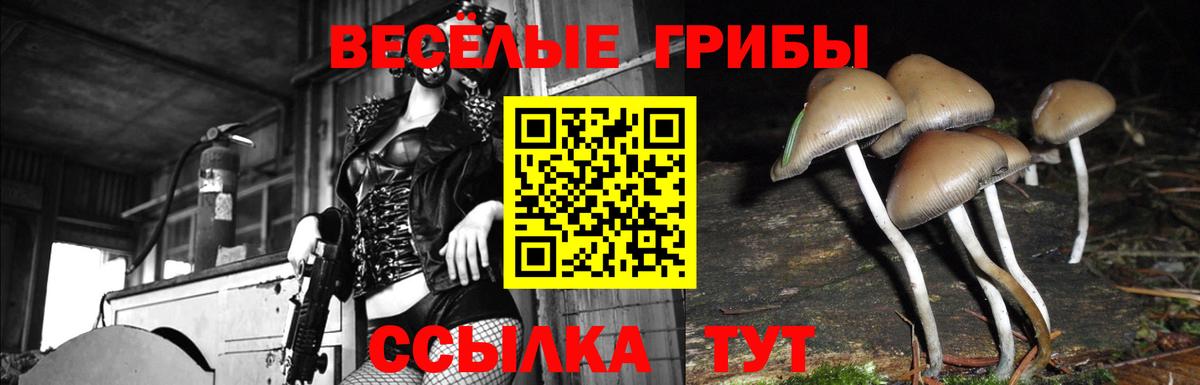 Галлюциногенные грибы GOLDEN TEACHER Шали